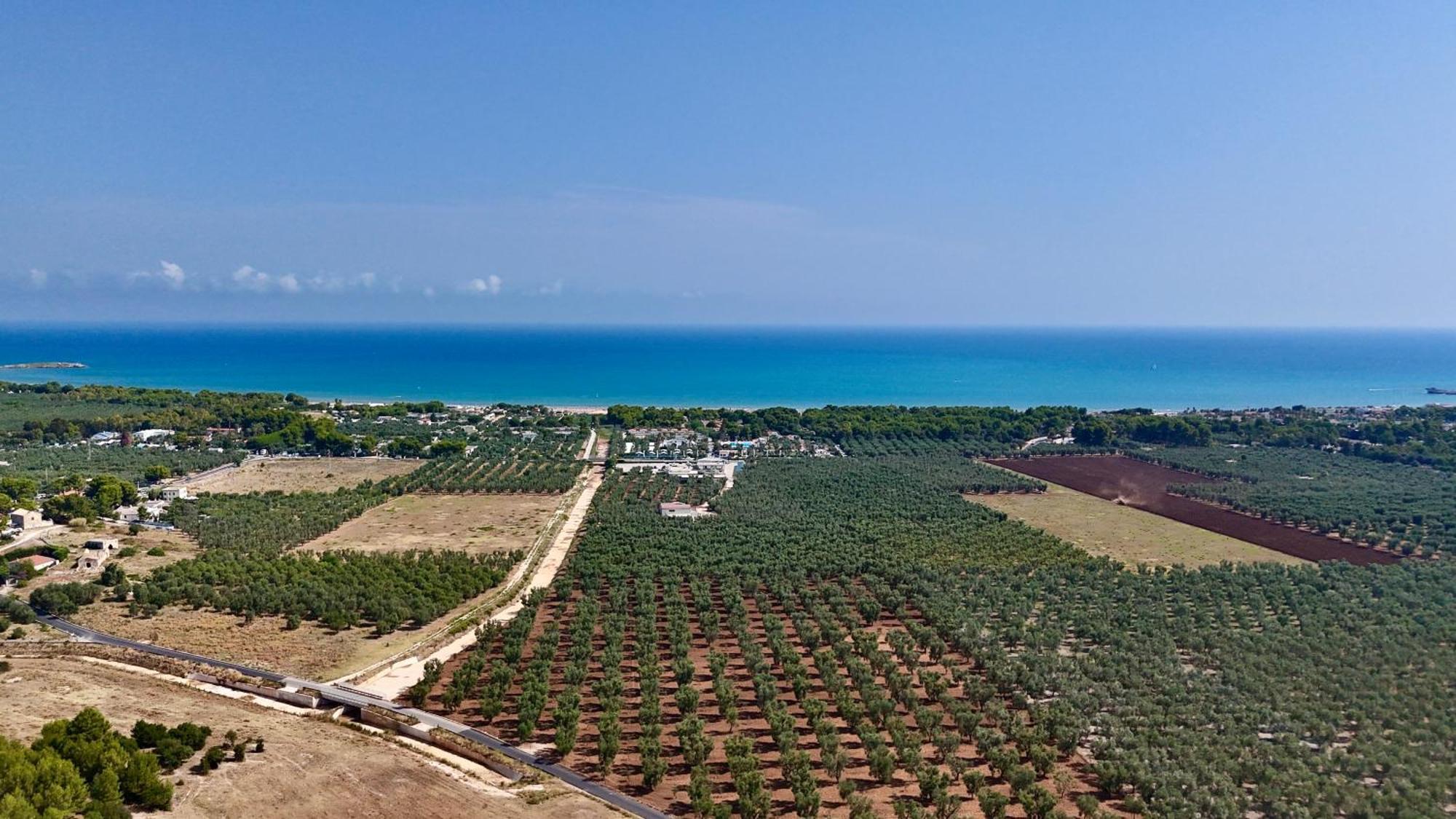 Villa Amica В'єсте Екстер'єр фото